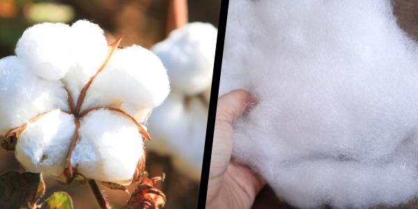 Cotton Scrubs vs. Polyester Scrubs